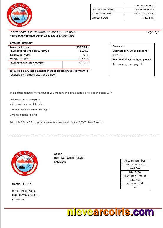 Pakistan Quetta Electric Supply Company electricity business utility bill